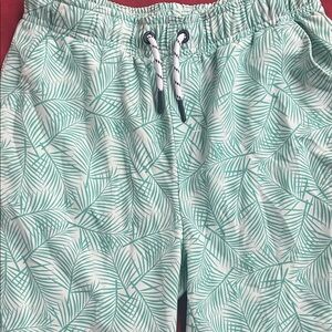 Vineyard Vines Mint Green Performance Swim Shorts